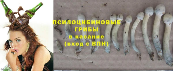 гидра Арсеньев