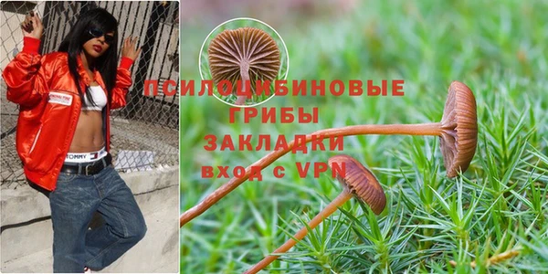 винт Армянск