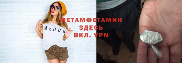гидра Арсеньев