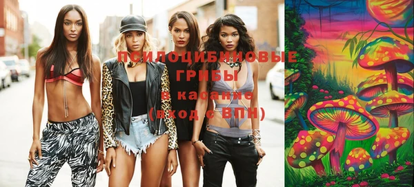 винт Армянск