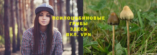 винт Армянск