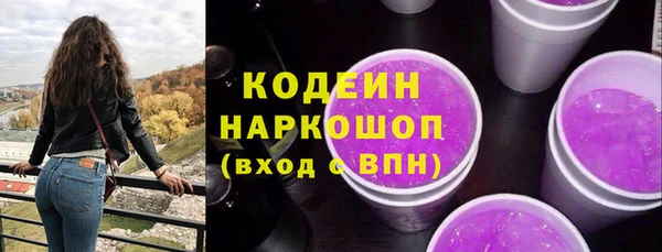 гидра Арсеньев